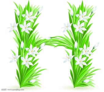 ʹØÄãµÄÑøÀÏÇ®!ÈËÉ粿µ÷ÕûÄê½ð»ù½ðͶ×Ê·¶Î§