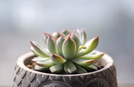 银保监会出台独立个人保险代理人监管规定