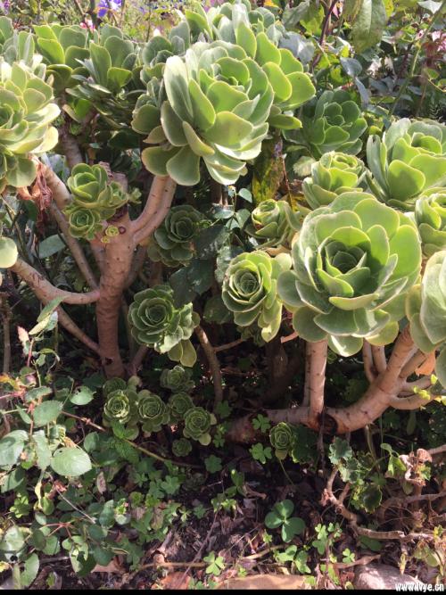 ׼Ƽ+ںϡ12ʿռԴӾ&8594;