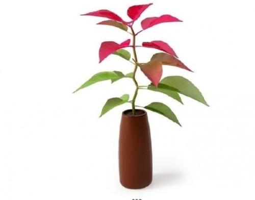 ¿¨Ëþ¶û°£Ã×¶ûÔÙ´ÎÊÕµ½É³ÌعúÍõµÄÑûÇëÐÅ