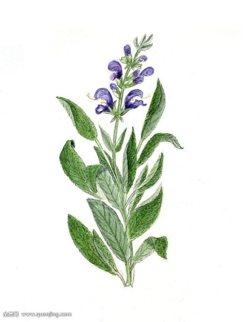 ¶í×ÜͳǩÊð·¨Áî·ÏÖ¹¡¶Å·ÖÞ³£¹æÎä×°Á¦Á¿ÌõÔ¼¡·