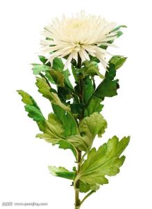 »Ô»Í¡°Ê®ËÄÎ塱 ·Ü½øÊ¯¾°É½¢Ý¡ª¡ª´´Ð·¢Õ¹¶¯ÄܼÓËÙ¼¯¾Û