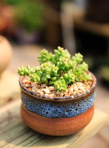 30ÈÕ»¦Ö¸ÖØ·µ3400µã ´´Òµ°åÖ¸Êý´óÕÇÓâ3%