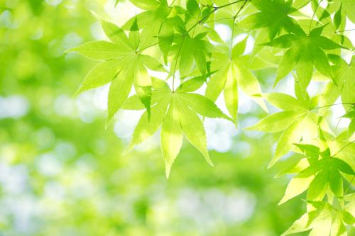 ºú´º»ª£º½ÓÐøÖ§³ÖÍÑÆ¶µØÇø·¢Õ¹ºÍȺÖÚÉú»î¸ÄÉÆ